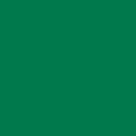 Groen / Green 061 – ORACAL® 641 serie – Mat Vinyl