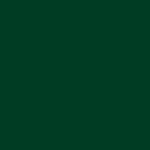 Donker Groen / Dark Green 060 – ORACAL® 641 serie – Mat Vinyl