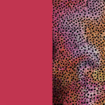 Plotterie.nl – Cricut Infusible Ink Rainbow Cheetah 1