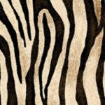 Wild Zebra | Fashion Flex