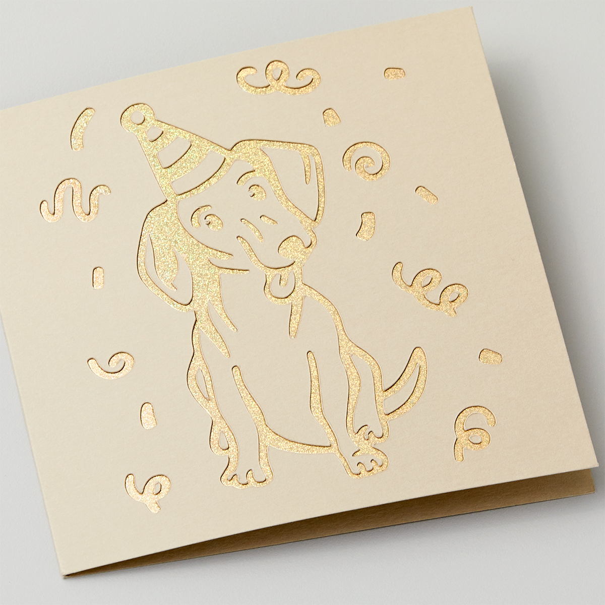 Plotterie.nl Cricut Cut-Away Cards 2009487-1